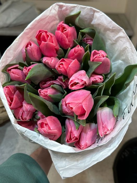 Свежие Тюльпаны Оптом