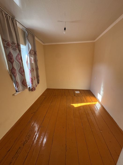 Сарыагашта уй сатылады