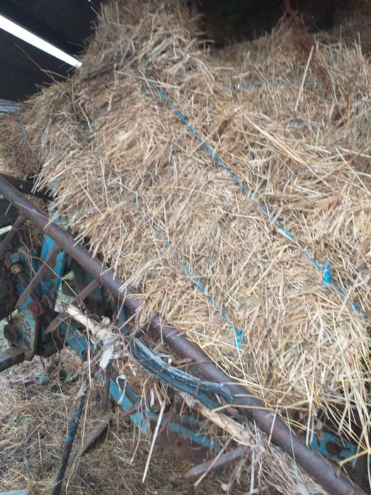 Baloti fin drepunghiular