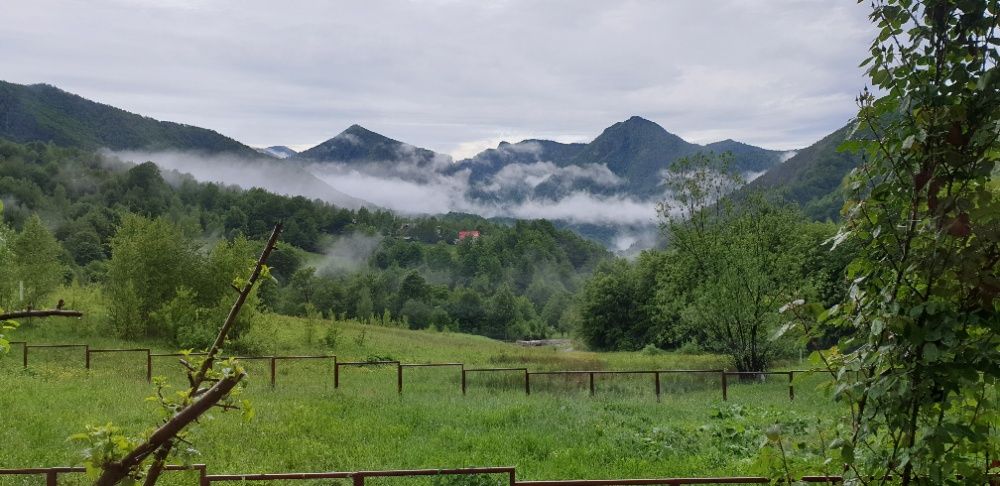 Casa de Vacanta/Vila/Pensiune/Cabana - Lepsa, Vrancea- Munte