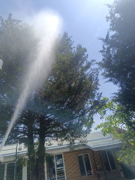 bog'bon sadovnik 12 -yillik