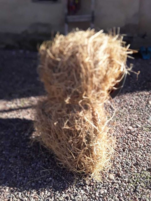 Beda bog'langan arzon narxda