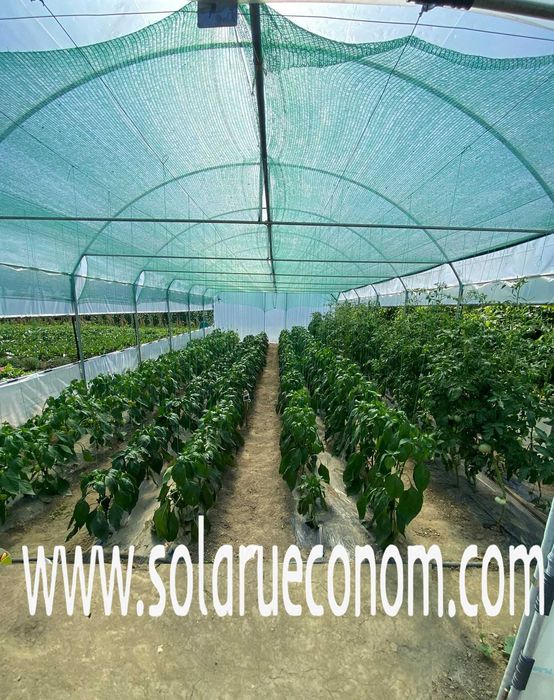 Solar (sera) pentru cultivarea de rosii, castraveti, ardei etc.