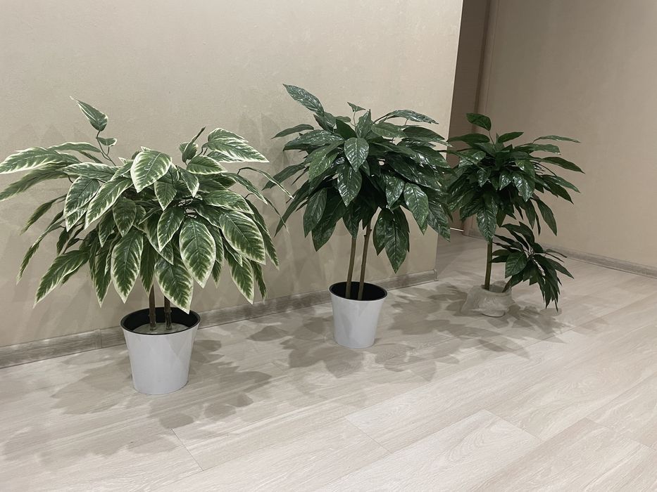 Искусственное Дерево Манго