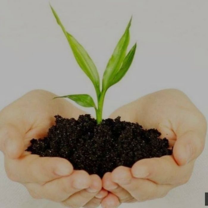 Biogumes cheklanmagan miqdorda