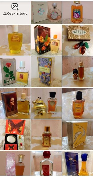 Чайная роза Северное сияние