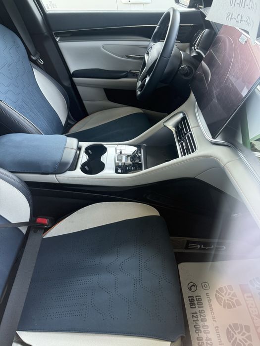 byd champion 2024 honr