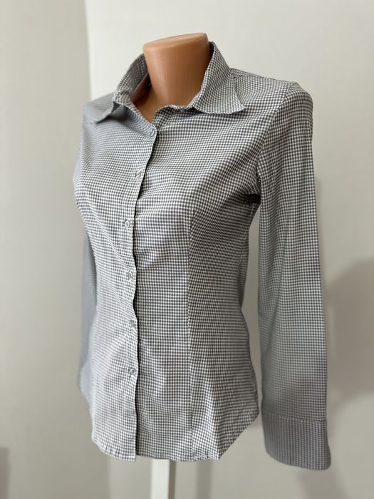 Camasi elegante