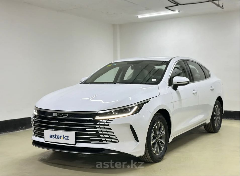 Бампер перед/зад на BYD Destroyer 05