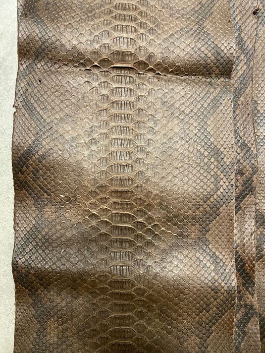 Естествена змийска кожа