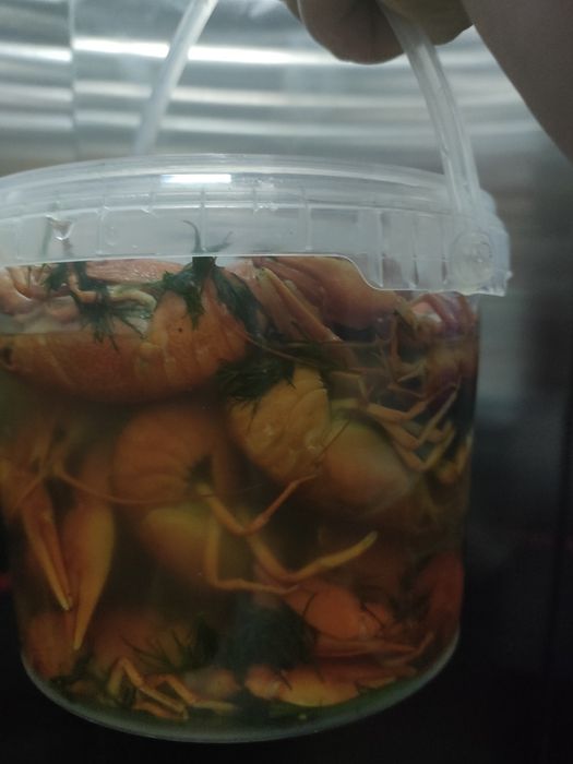 Живые раки доставка