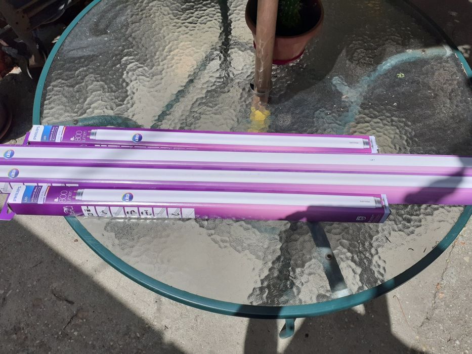 Neoane de vânzare  pe led.⁹