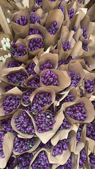 тюльпаны от 300 и 400