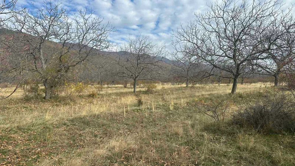 Продава се Земеделски имот в Карлово -  кв.м за 1 €/дка - Снимка #4