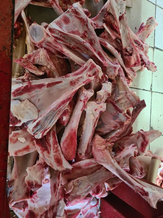 Говяжьи кости бесплатно.: Бесплатно - Продукты питания / напитки Алматы ...