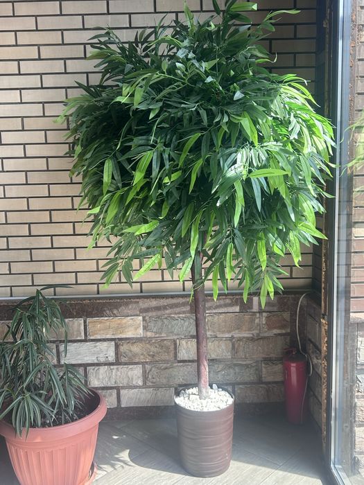 Искусственные деревья