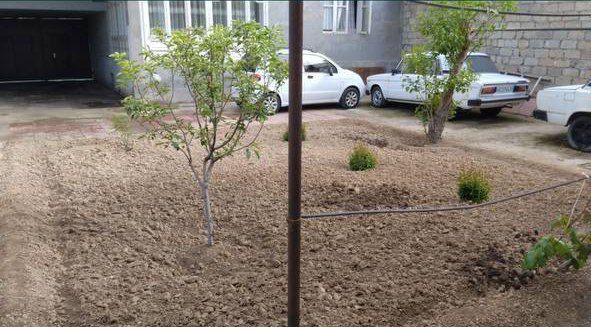 Oʻrikzor Koʻksaroy mahallasi da yer narxida uchastka sotiladi