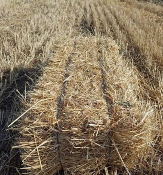 Vând baloți de paie pătrați.