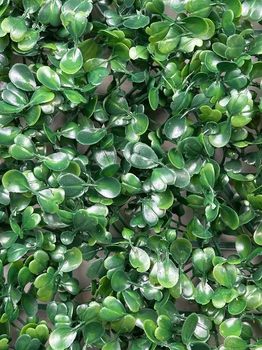 Фитостена искусственная — для интерьера и экстерьера