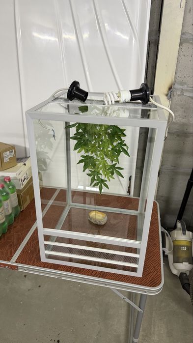 Террариум для рептилий, вертикальный