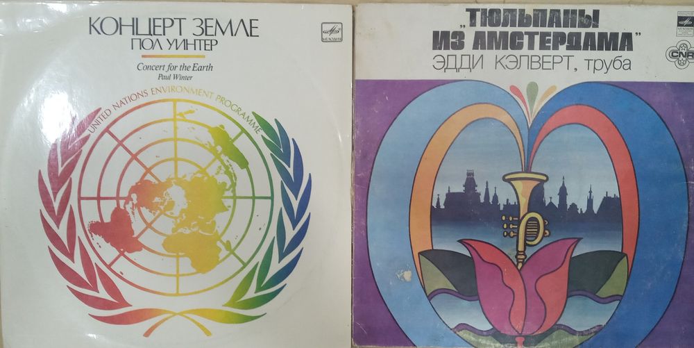 Виниловые  пластинки