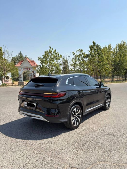 2023 Byd chempion 605