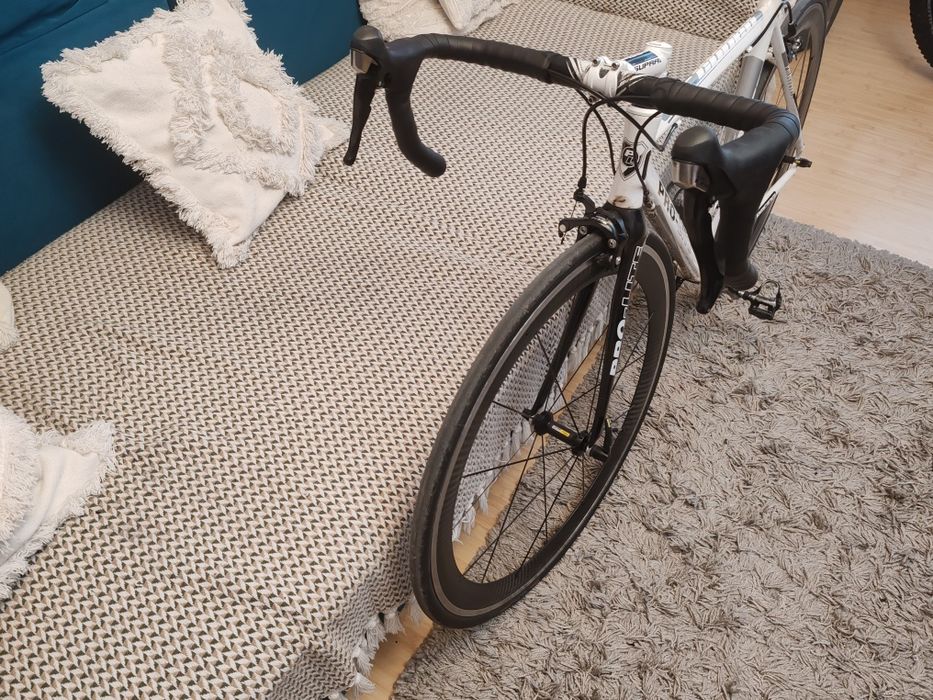 Cursiera ProLite Cuneo Mărime M