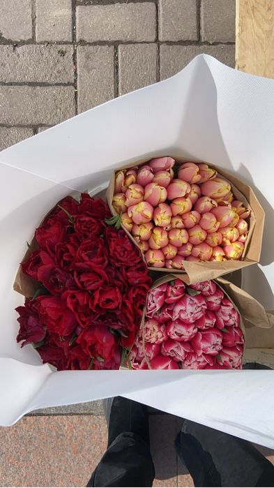 Тюльпаны оптом 385.Прямая поставка