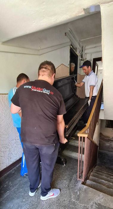 Transport mobila, Mutari mobila, Relocare, Transport marfa