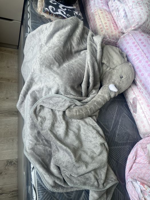 Слоленок с пледом , Филчача ва плед.