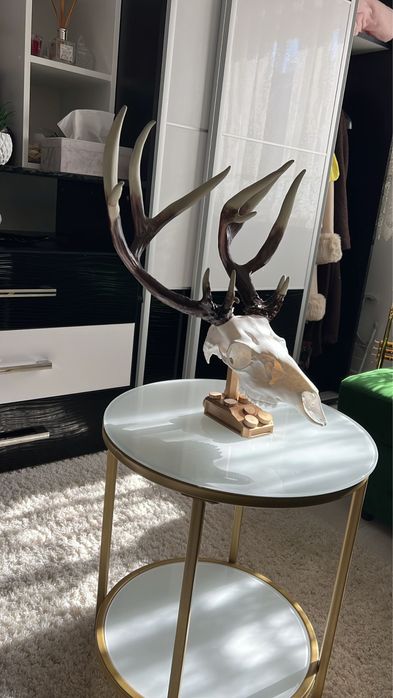 Trofeu de cerb -replică 3D