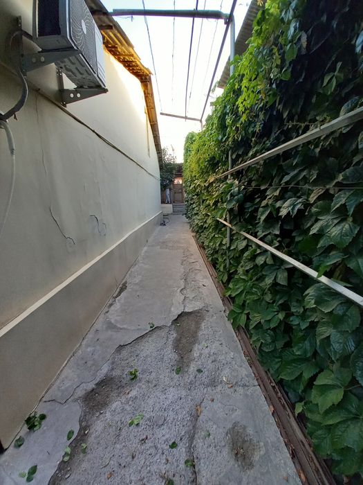 Yo'li yuzida uy sotiladi 3.6 sotik