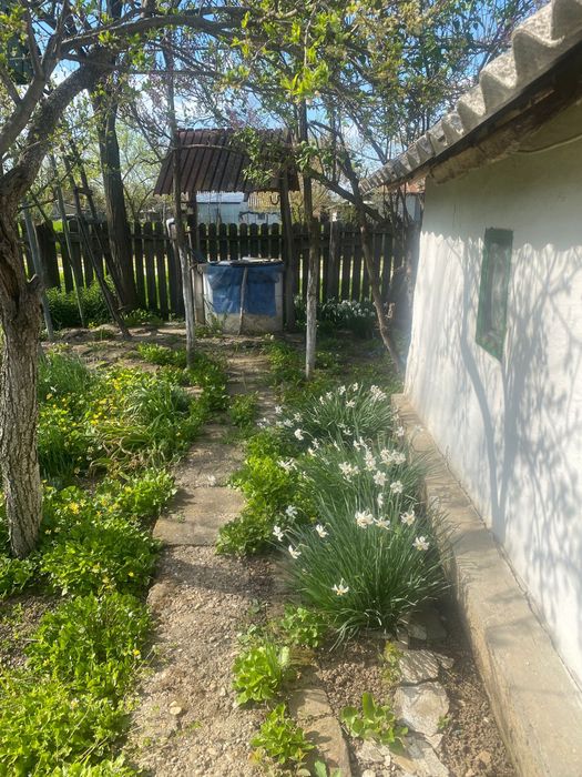 De vanzare casă batraneasca locuibila compusa din 3 camere si dependinte,fântana cu apa potabilă,2 sobe teracota,curent electric,pivnita,curte 2000 mp