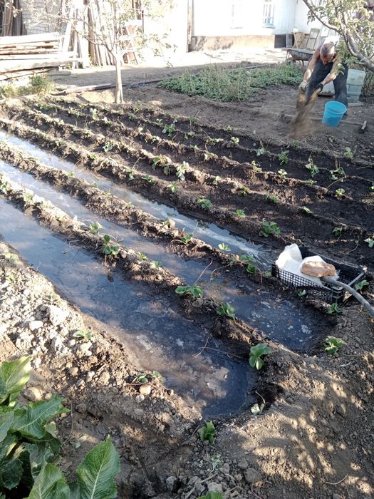 Продам дом 2 рабочий