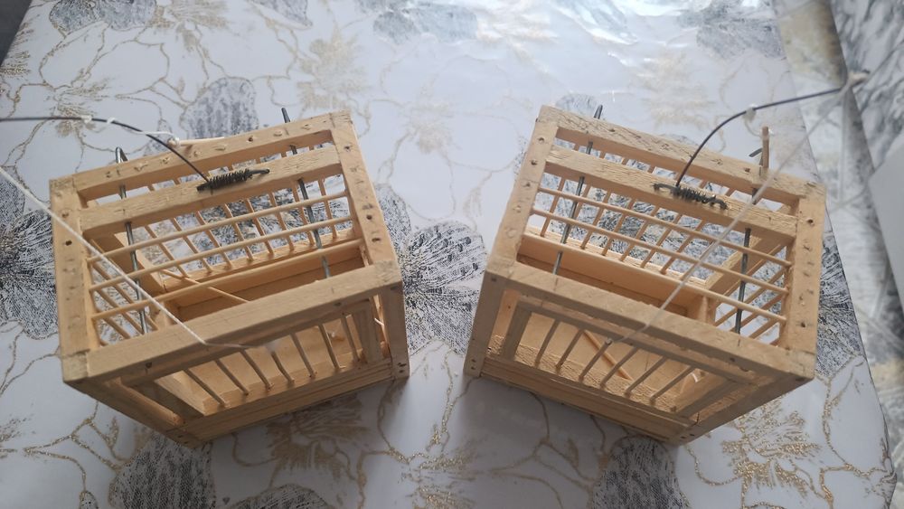 Ловушки хлопки для птиц