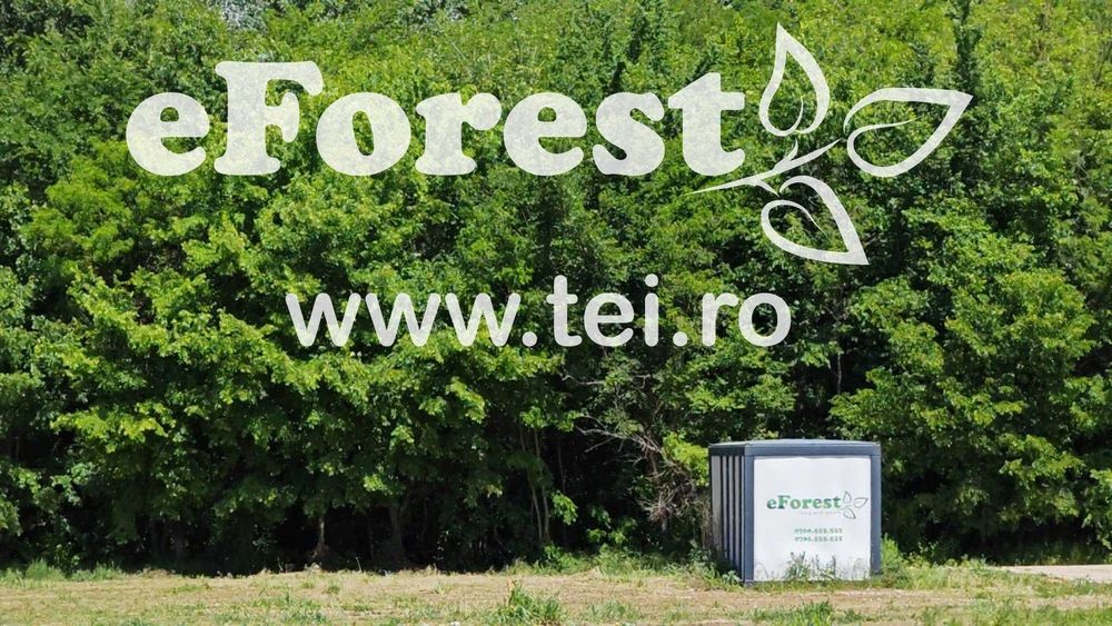 Loturi de teren în eForest, după Buftea, cu acces direct la DN1A