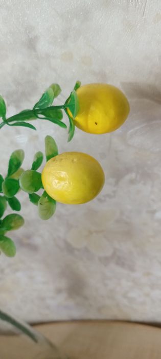 Ветка жёлтых лимонов