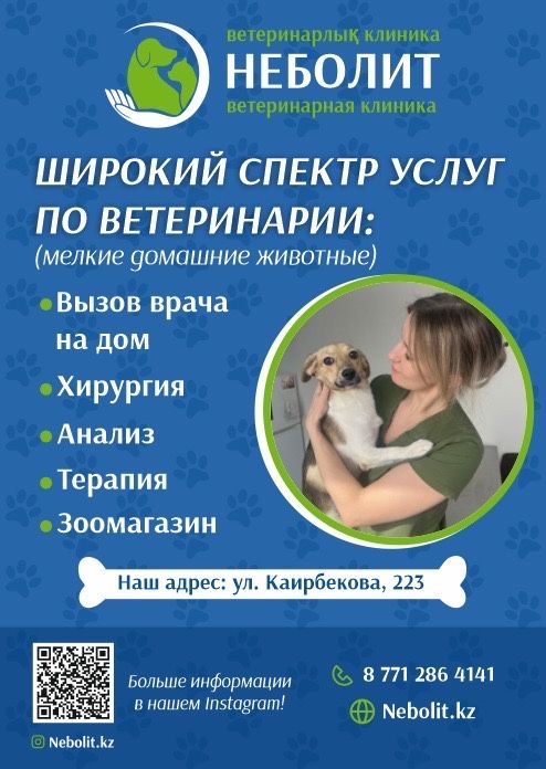 Ветеринарный врач .