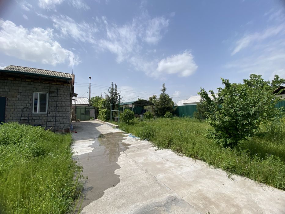 Дача Нурафшон Ташморе оркаси тойтепадан утганда