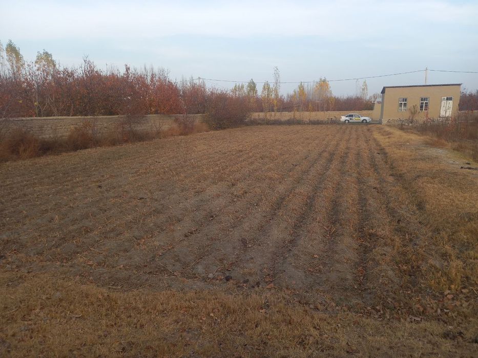 Томорка сотилади