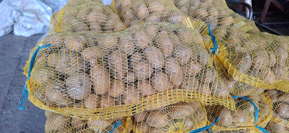 Картофи за консумация и семе