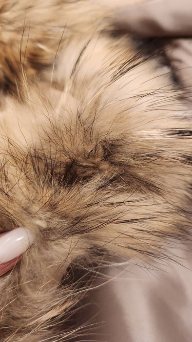 Грейка Guess и яке AVIN