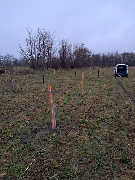 Ingrijire spații verzi, toaletare arbori, tundere gazon, Piatra Neamț