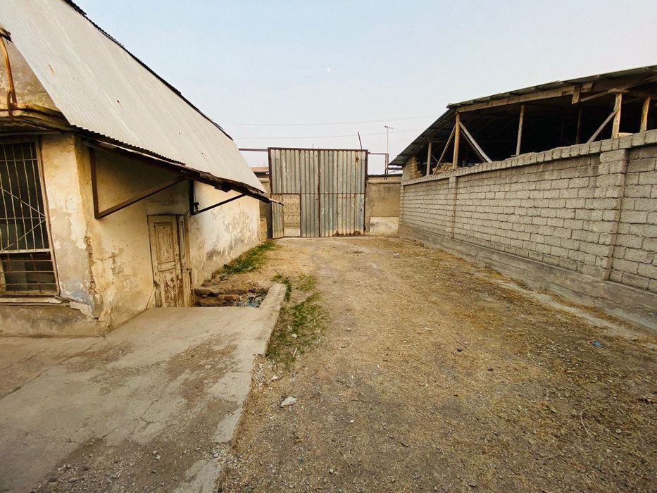 Назарбек мостидан 8 км ичкарида 12 Сотокли ховли