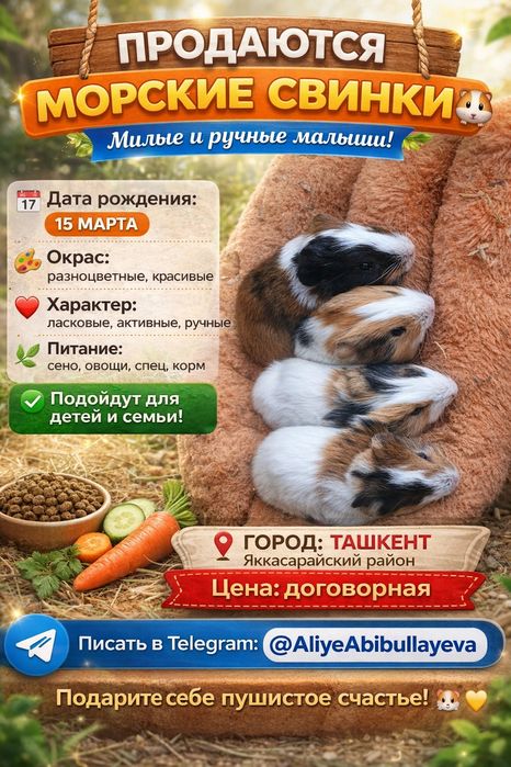 Пушистое счастье