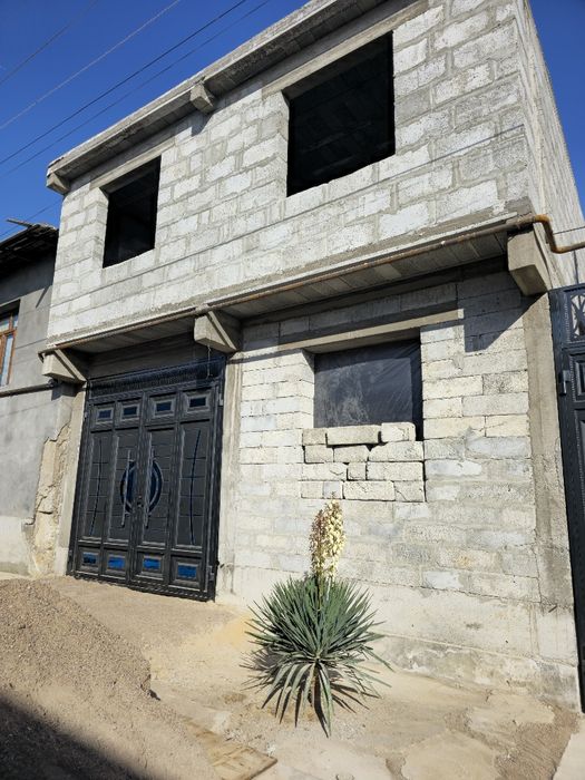 Обмен бор Селекция seleksiya onkurgon selhoz ункургон таш грес 2 соту