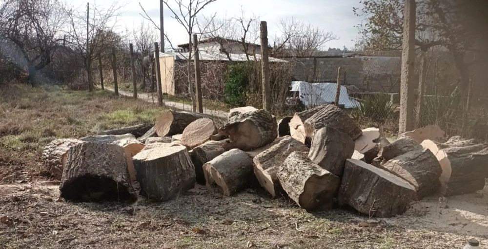 Рязане на дърва за огрев