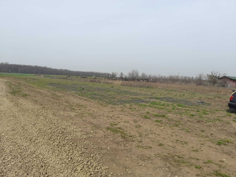 Vand teren  700mp Magurele Pruni, toate actele la zi, proprietar