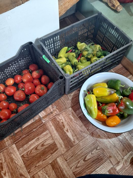 Коттедж 2-хэтажный.