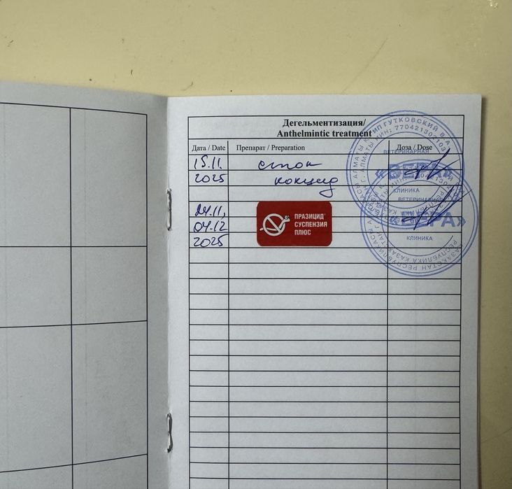 Кане Корсо ( Cane Corso)